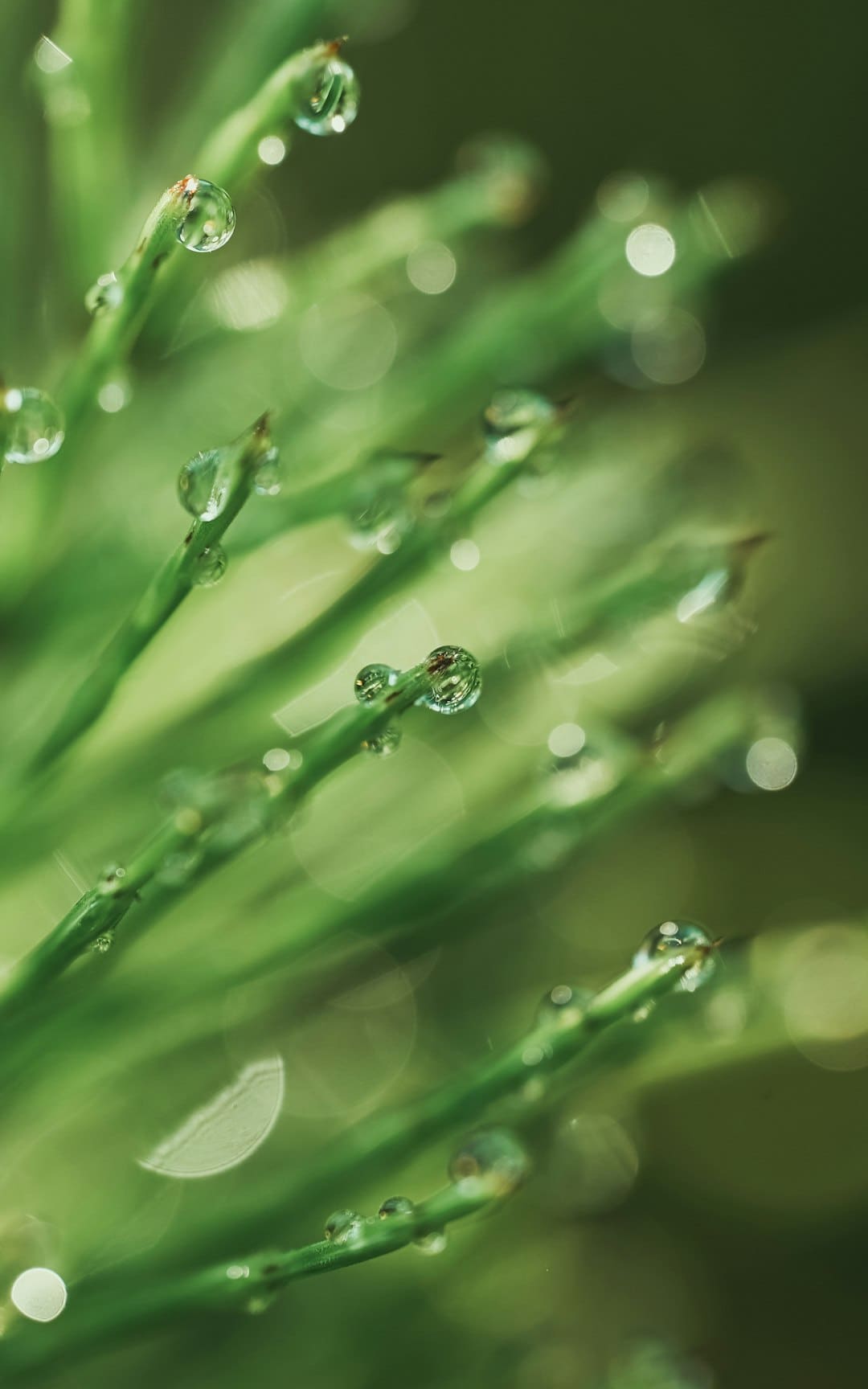 成都暴雨 强降雨伴有大风来袭